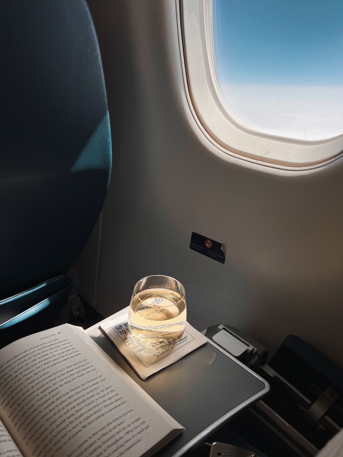 Window seat on a long-haul flight with a book and a glass of white wine on the tray table
